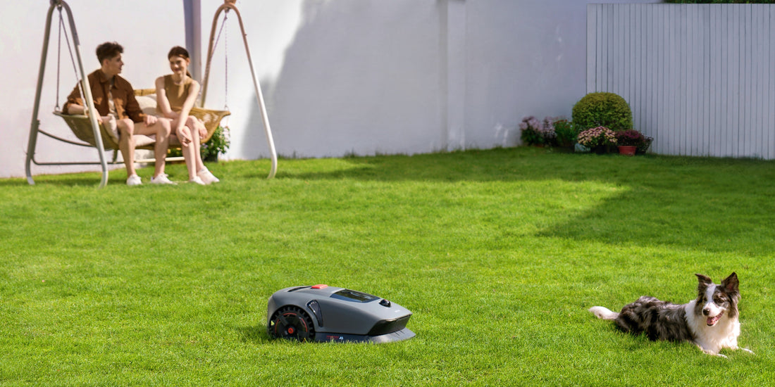 mähroboter ohne begrenzungskabel