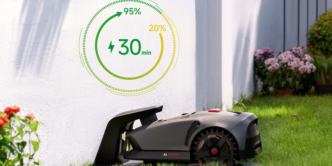 mova gps-mähroboter ohne begrenzungskabel