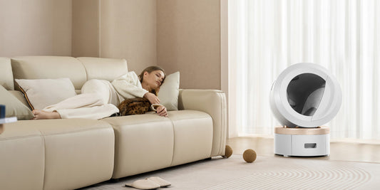 automatische Katzentoilette