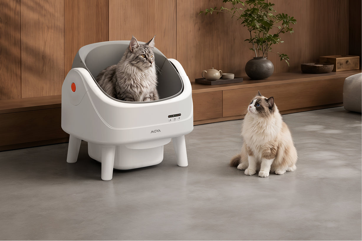 MOVA LB10 Air selbstreinigende Katzentoilette Für alle Größen geeignet