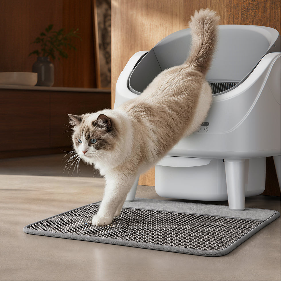 MOVA LB10 Air selbstreinigende Katzentoilette Katze geht, Streu bleibt