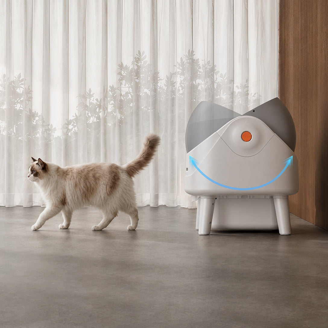 MOVA LB10 Air selbstreinigende Katzentoilette Ihre Katze geht, die Reinigung beginnt.