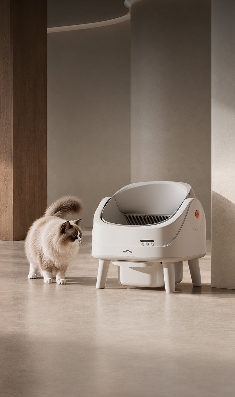 
                      MOVA LB10 Air selbstreinigende Katzentoilette LB10 Air

                    