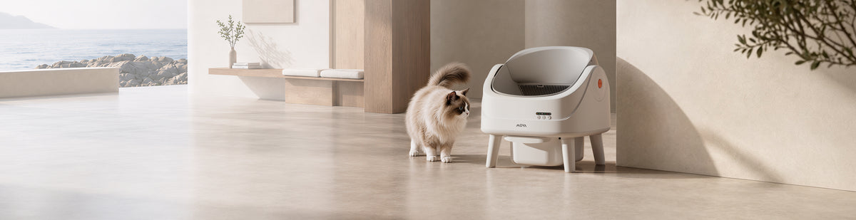MOVA LB10 Air selbstreinigende Katzentoilette LB10 Air