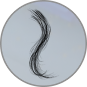 Haare