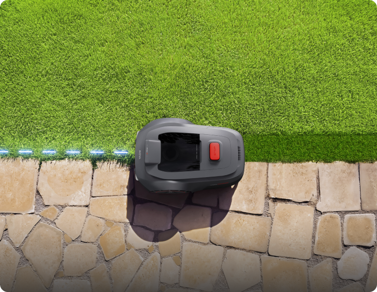 mova viax 250 innerhalb der grenze mähen