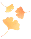 Left icon