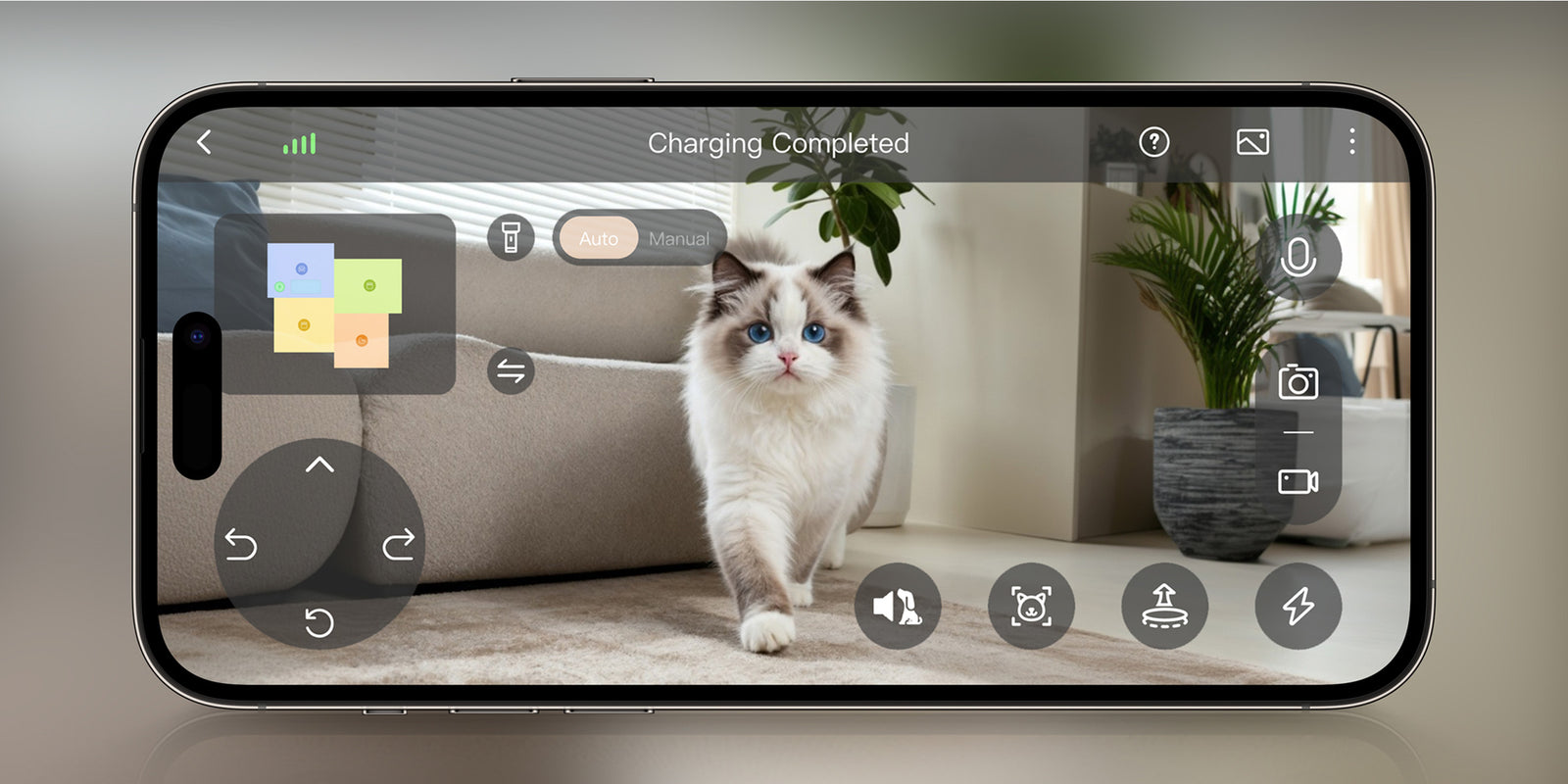 Cuidado de mascotas en profundidad - 