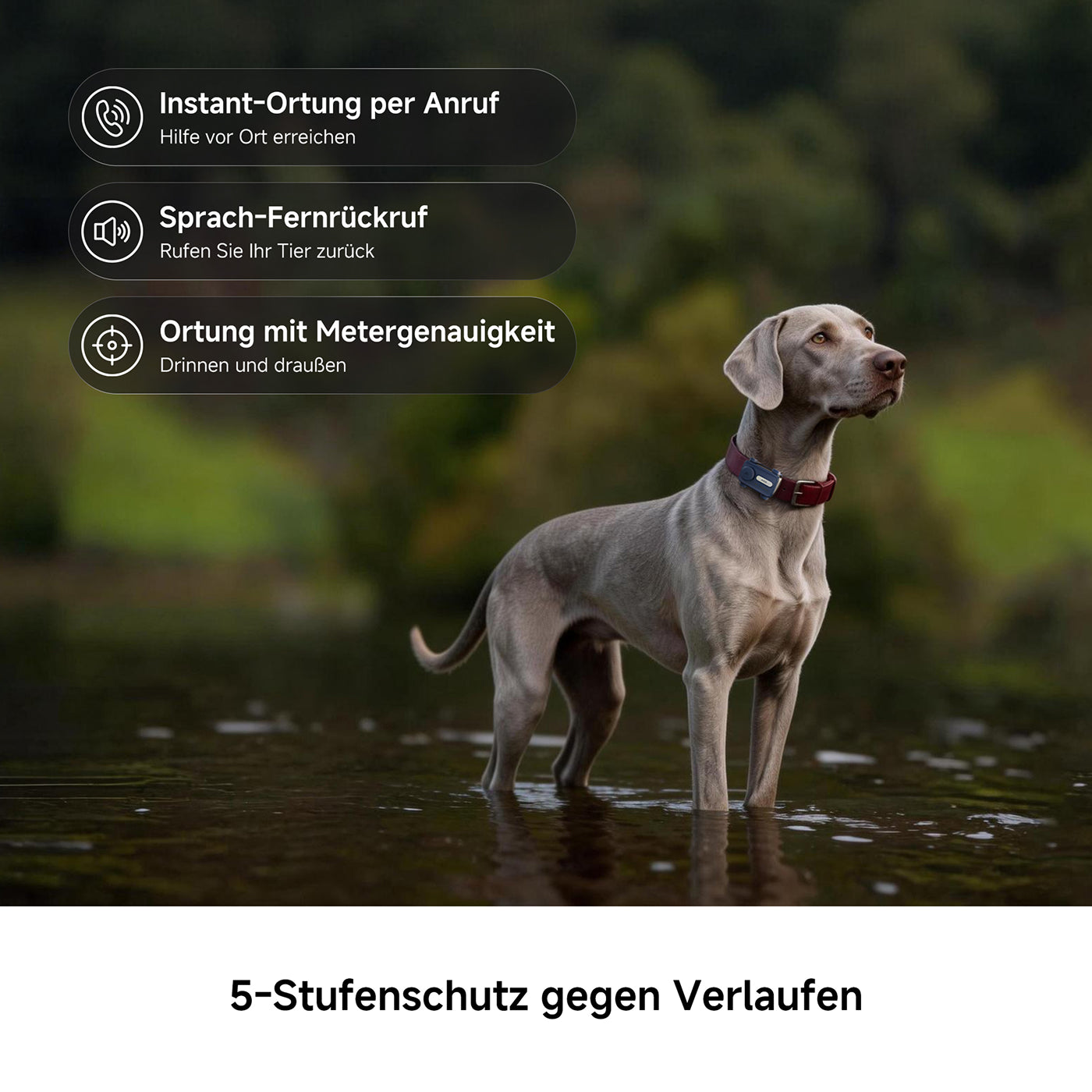 MOVA SureTrack Pro - GPS-Haustier-Tracker