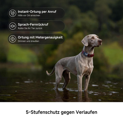 MOVA SureTrack Pro - GPS-Haustier-Tracker
