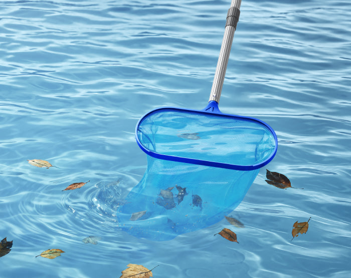 Komplettreinigung von oben bis unten mit Skimmer - 