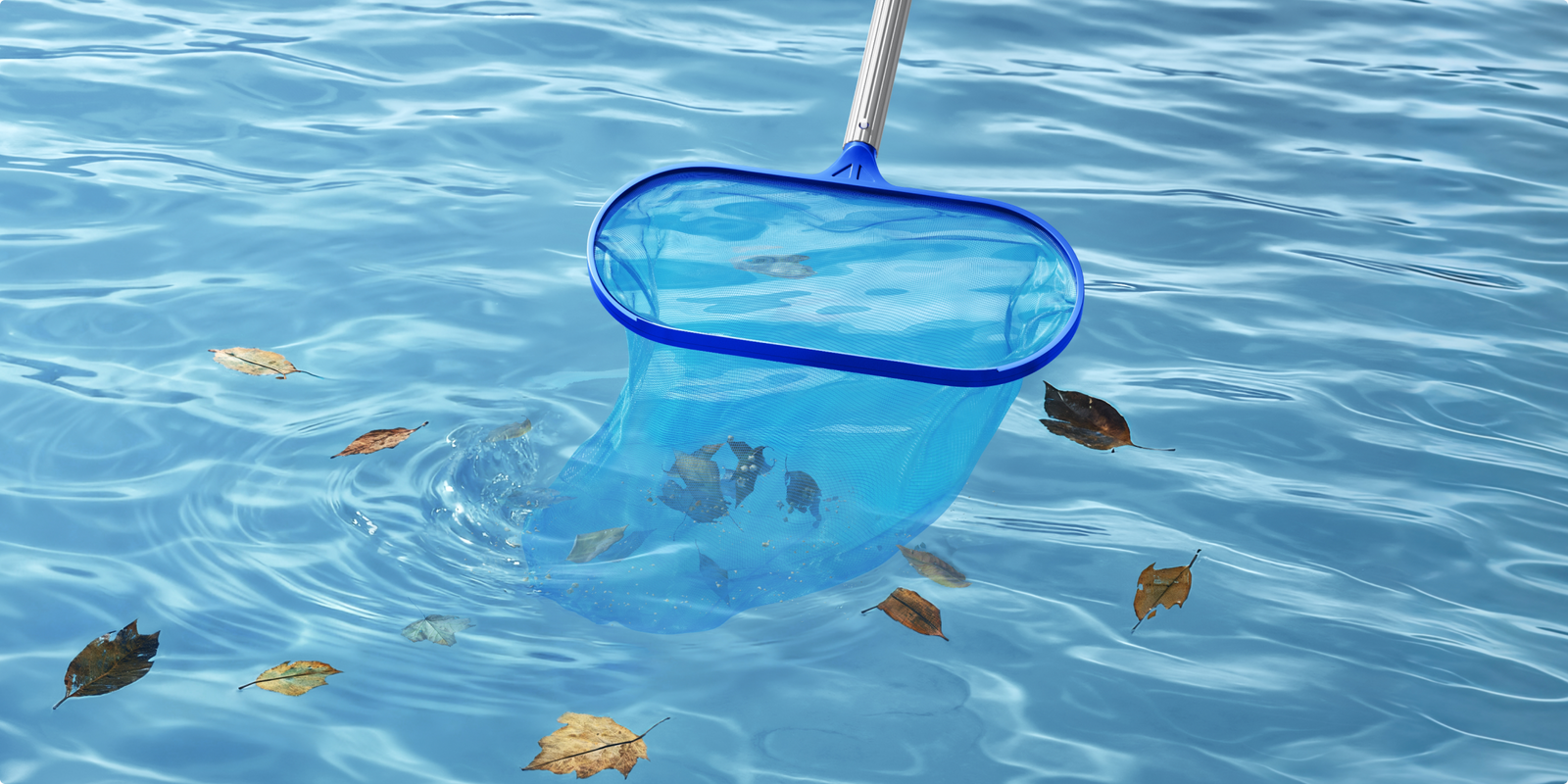 Komplettreinigung von oben bis unten mit Skimmer - 