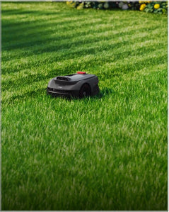 mova viax 250 u form schnitt vollständige abdeckung