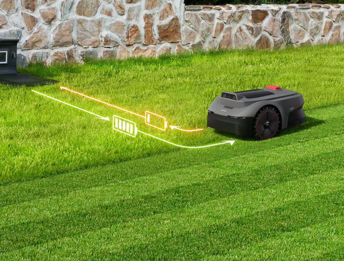 mova viax 250 sanftes nahtloses mähen