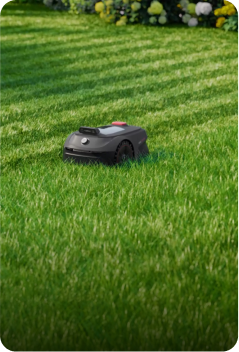 U-förmiger Schnitt für effizientes, flächendeckendes Mähen - 